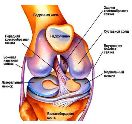 Клинические проявления повреждения боковых связок коленного сустава