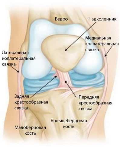 Лечение наружной боковой связки коленного сустава