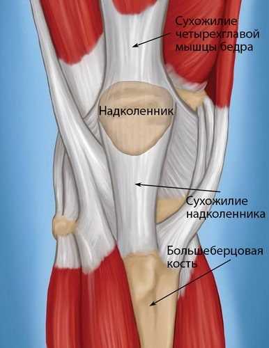 Консервативные методы лечения четырехглавой мышцы коленного сустава