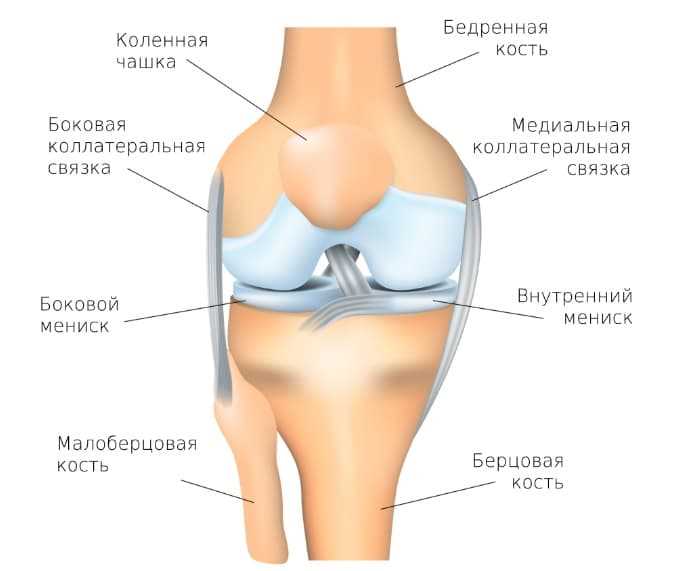 Симптомы гонартроза коленного сустава
