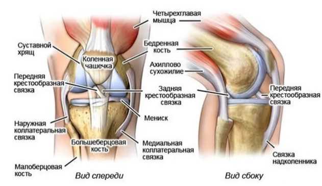 Лечение коленного сустава в Каменске-Шахтинском: эффективные методы и рекомендации