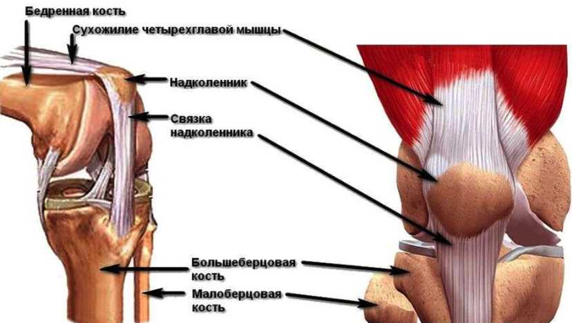 Эффективные методы восстановления при лигаментите связок коленного сустава