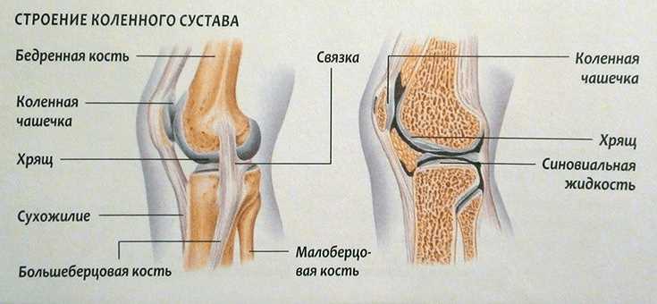 Отзывы о лечении магнитом коленного сустава