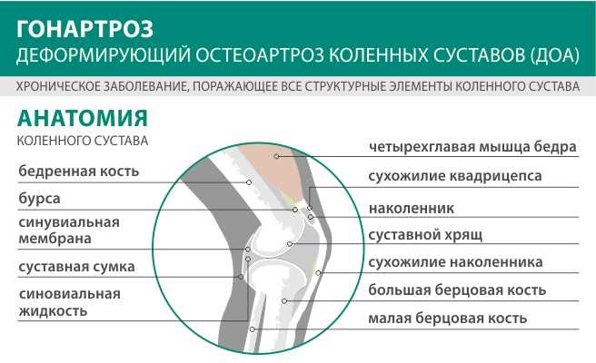 Лечение озоном коленных суставов: проверенная польза и возможные риски