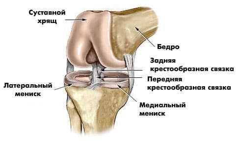 Что такое разрыв передней крестообразной связки коленного сустава?