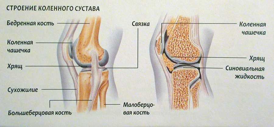 Рязань — эффективное лечение коленного сустава без хирургии